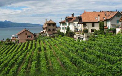 India Darjeeling – Kalimpong – [4nights & 5days]