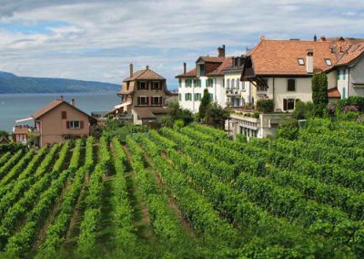 India Darjeeling – Kalimpong – [4nights & 5days]