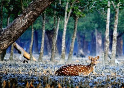 Kotka – Kochikhali Wildlife Sanctuary (02 Night & 03Day)