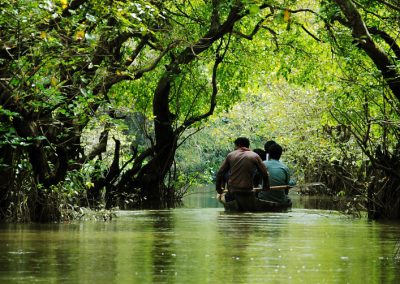 Visit the Fresh Water Swamp Forest Ratargul Sawmp Forest