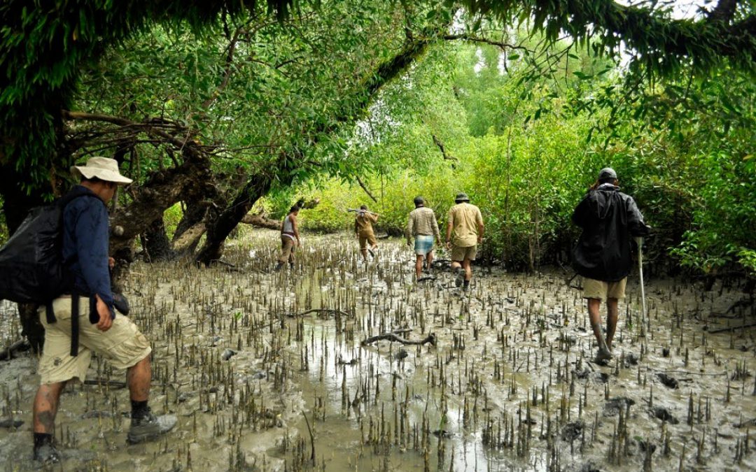 Adventure Trip – 2 Nights & 3 Days Sundarbans Tour