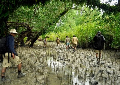Adventure Trip – 2 Nights & 3 Days Sundarbans Tour