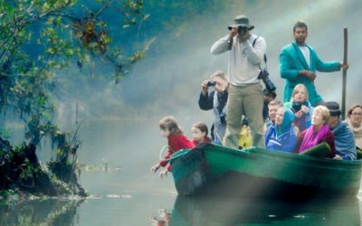 Sundarbans Tour with Small Boat Tour Days: 03 Days / 02 Nights